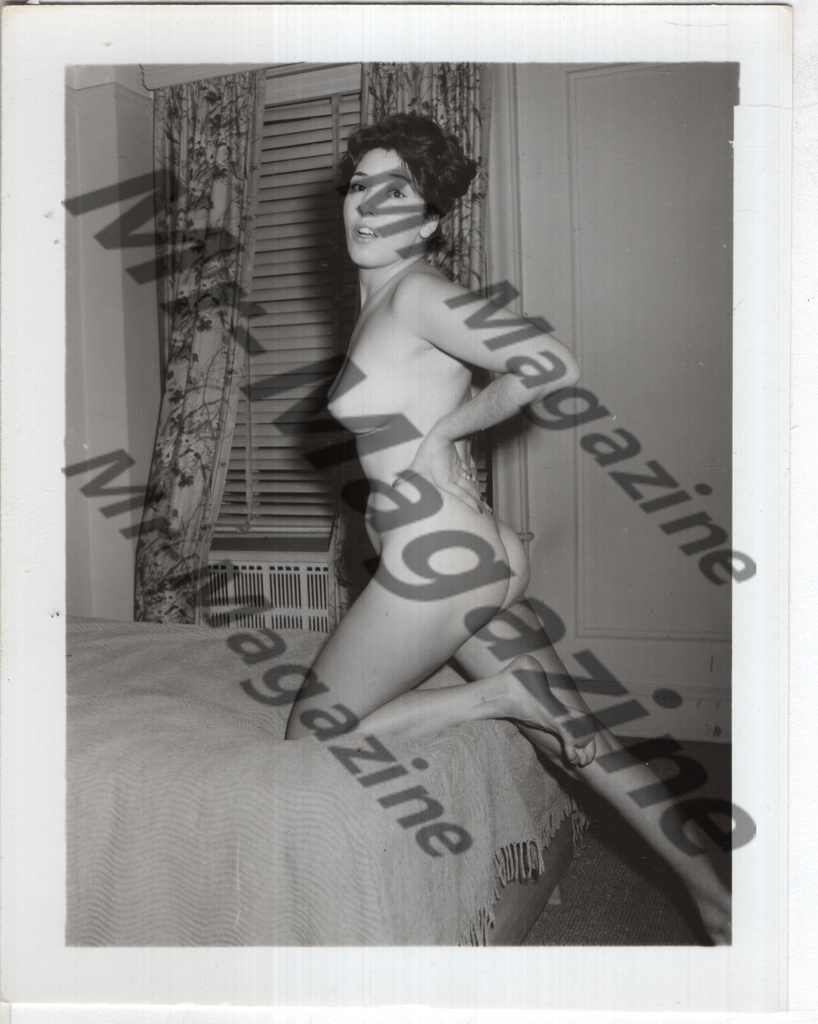 Adult Vintage B&W Pinup Photo 4"x5" Brunette Nude Model RQ-43
