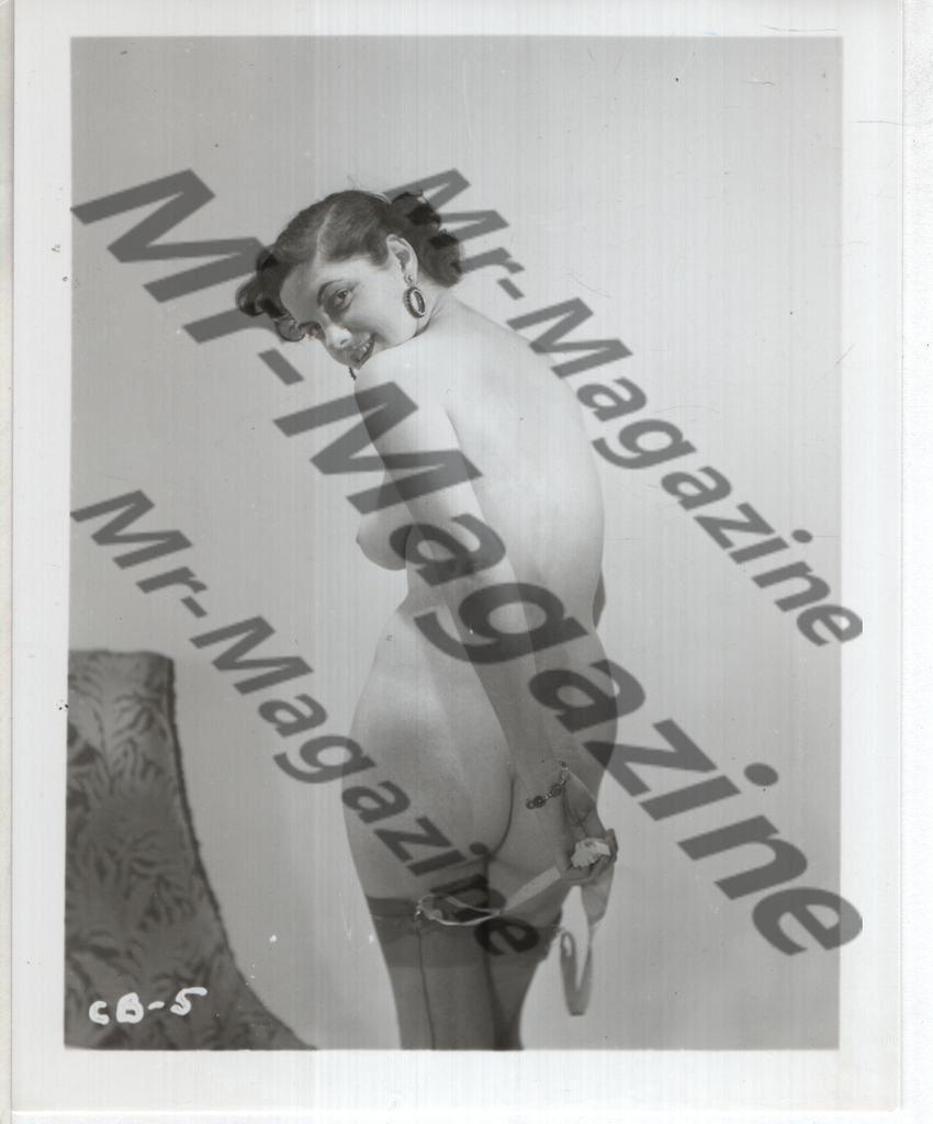 Adult Vintage B&W Pinup Photo 4"x5" Brunette Lingerie Model RZ-76