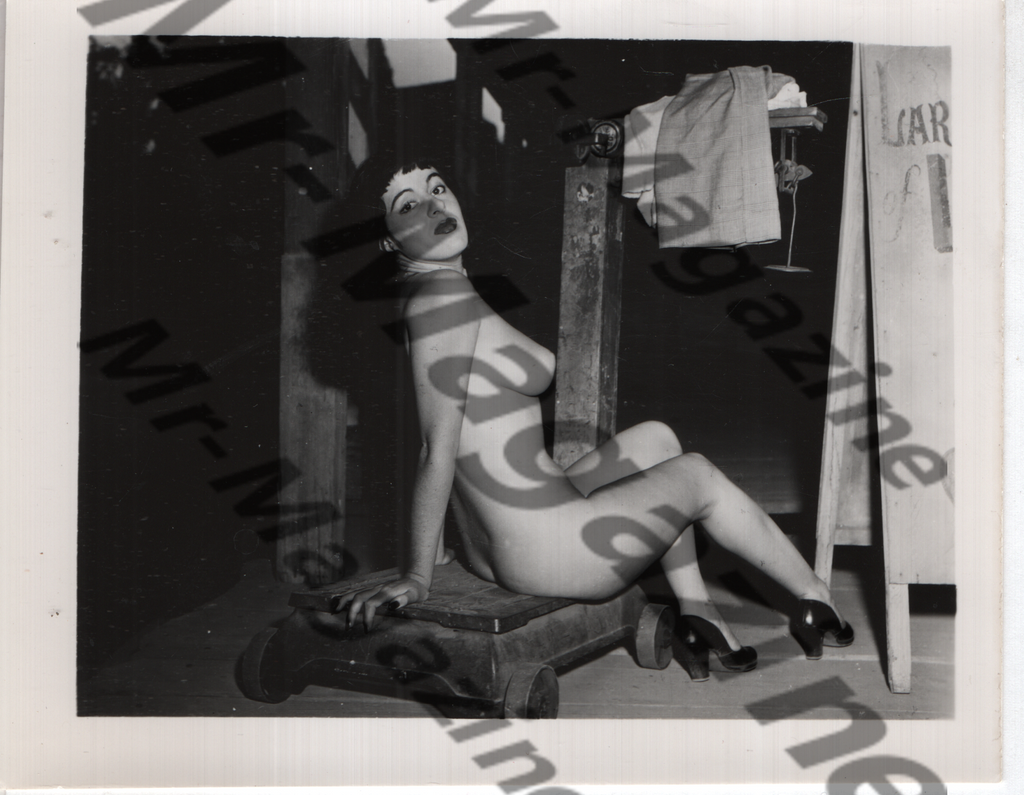 Adult Vintage B&W Pinup Photo 4"x5" Brunette Nude Model In Basement CA-19