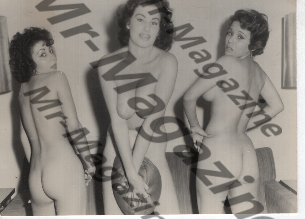 Adult Vintage B&W Pinup Photo 4"x5" Brunette Nude Models CA-21