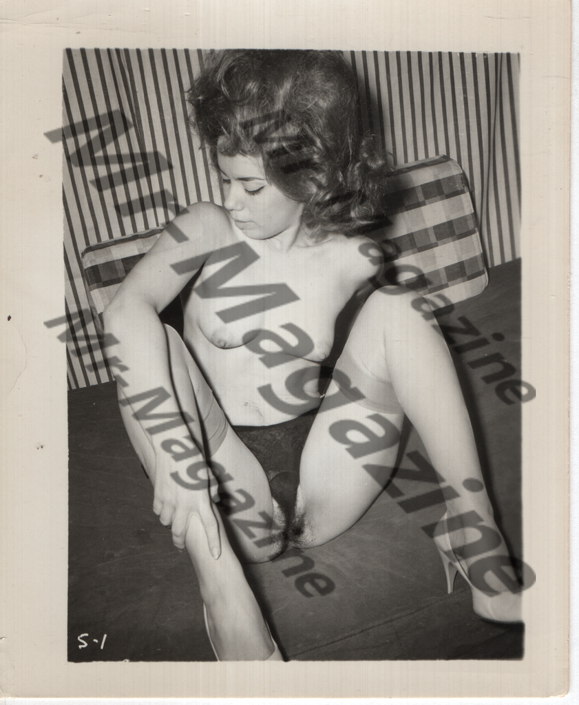 Adult Vintage B&W Pinup Photo 4"x5" Brunette Lingerie Nylon Stockings Model CA-42