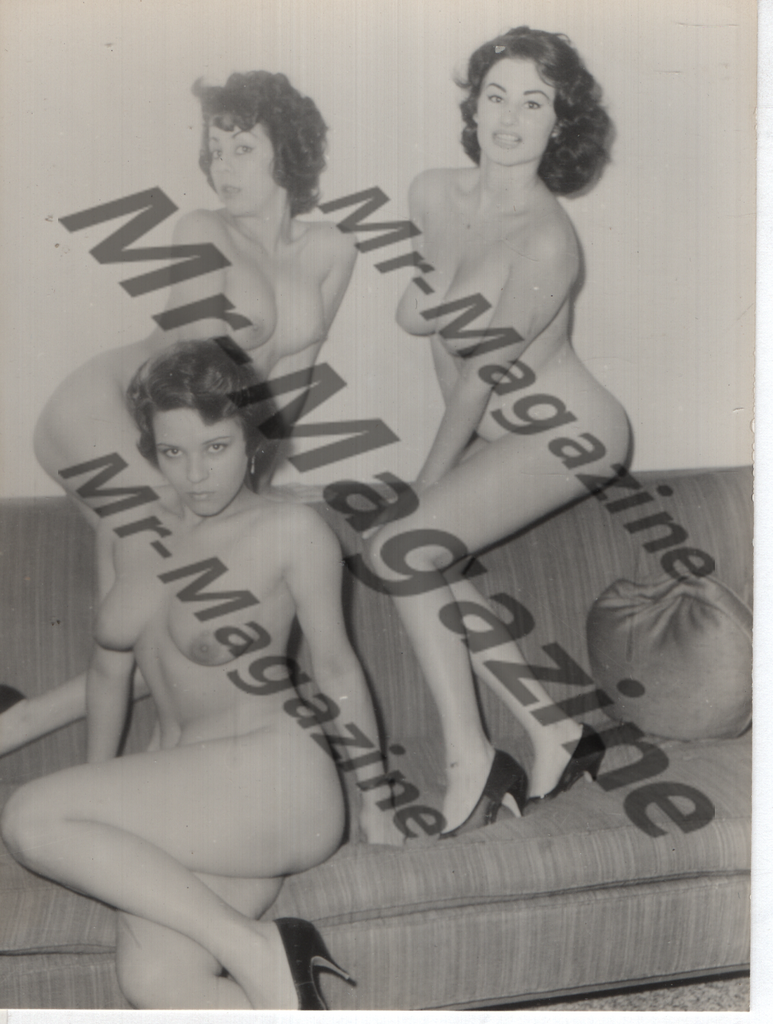 Adult Vintage B&W Pinup Photo 4"x5" Brunette Nude Models CA-22