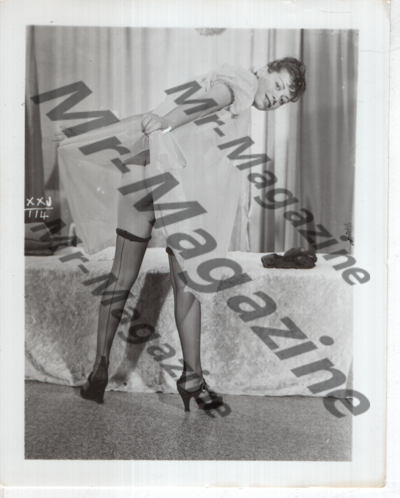 Adult Vintage B&W Pinup Photo 4"x5" Brunette Lingerie Model RQ-52