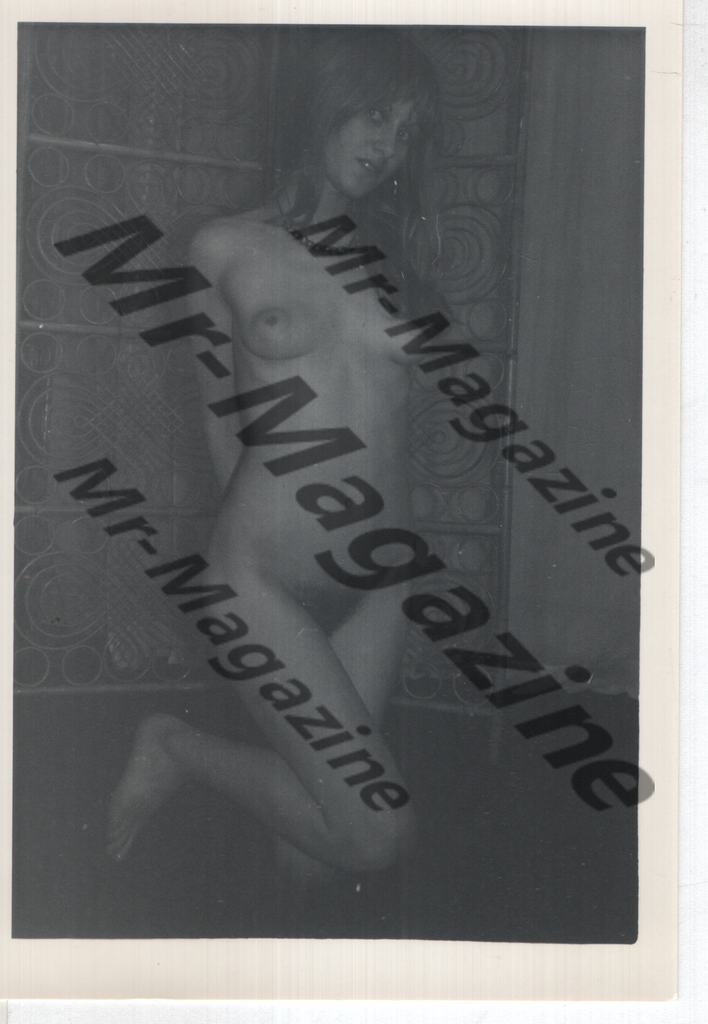 Adult Vintage B&W Pinup Photo 4"x5" Brunette Nude Model RQ-93