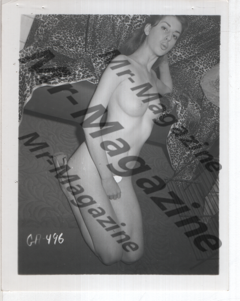 Adult Vintage B&W Pinup Photo 4"x5" Brunette Nude Model CA-80