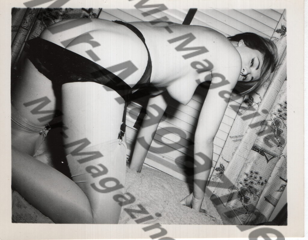 Adult Vintage B&W Pinup Photo 4"x5" Brunette Lingerie Model CA-83