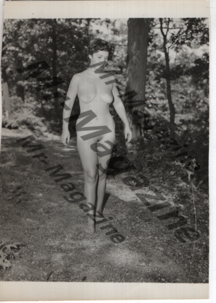 Adult Vintage B&W Pinup Photo 4"x5" Brunette Nude Model Outdoors CB-93