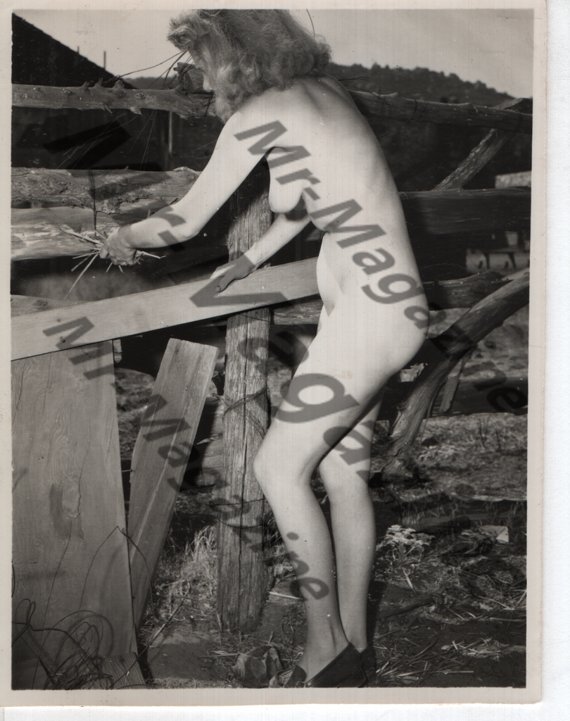 Adult Vintage B&W Pinup Photo 4"x5" Blonde Nude Model Outdoors CB-100