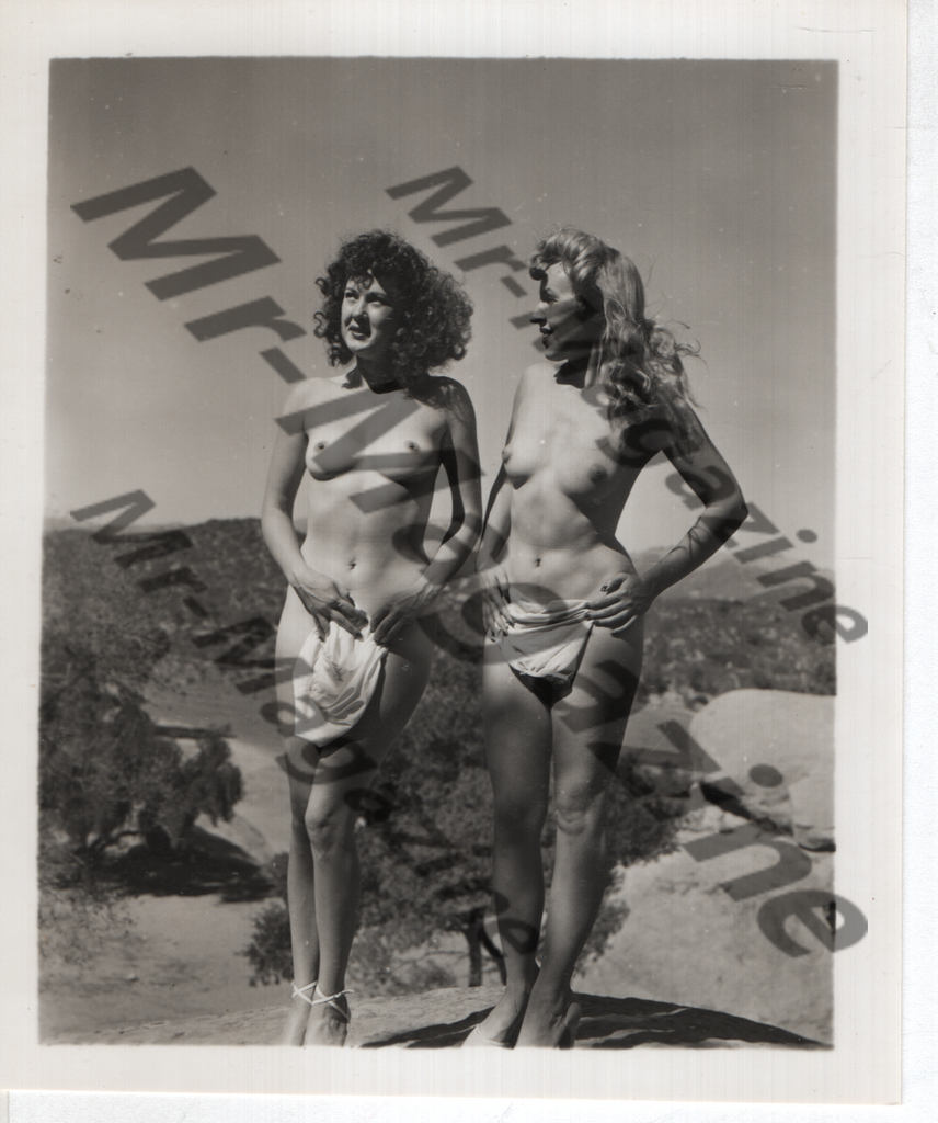 Adult Vintage B&W Pinup Photo 4"x5" Lesbian Interest Blonde & Brunette Lingerie Models Outdoors CB-85