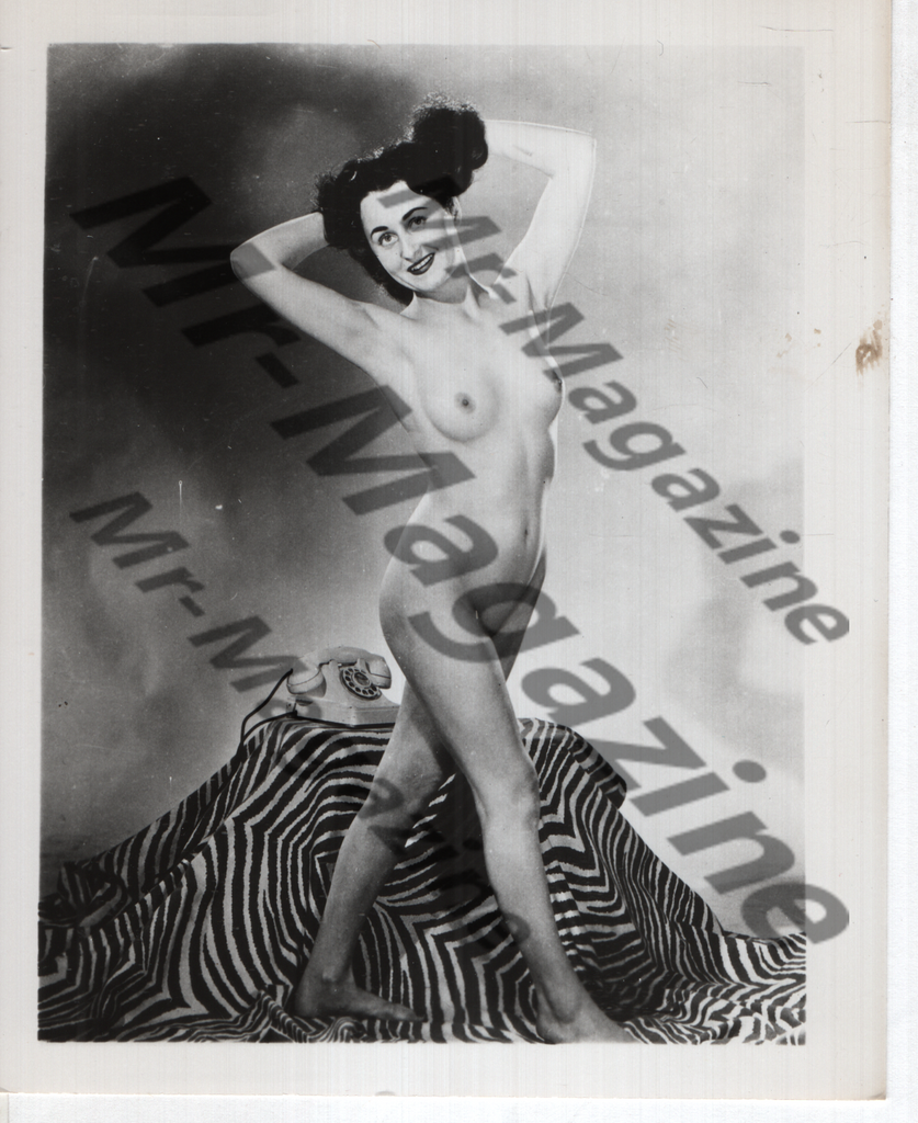 Adult Vintage B&W Pinup Photo 4"x5" Brunette Nude Model CB-71