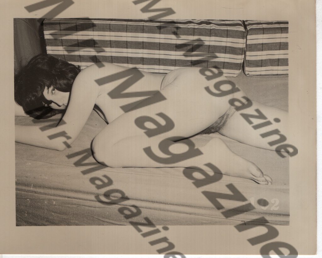 Adult Vintage B&W Pinup Photo 4"x5" Brunette Nude Model CC-42