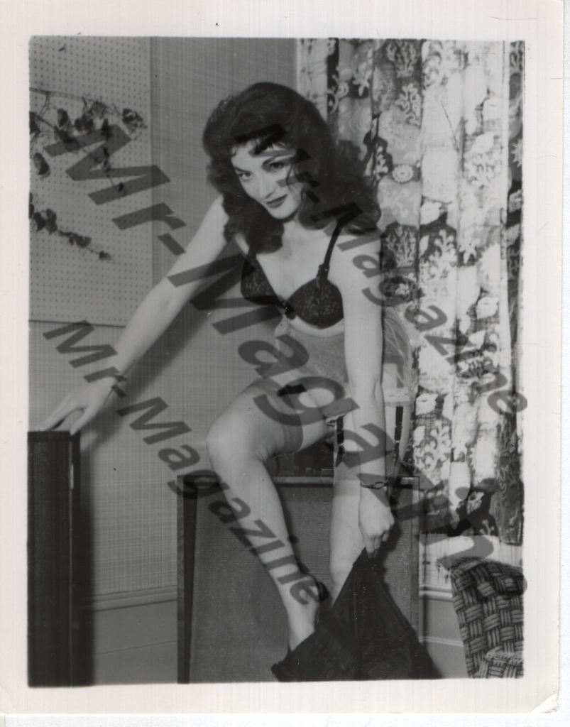 Adult Vintage B&W Pinup Photo 4"x5" Brunette Lingerie Model Striptease CC-47