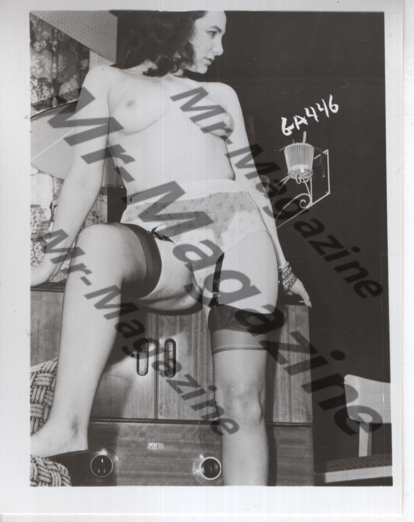Adult Vintage B&W Pinup Photo 4"x5" Brunette Lingerie Model CC-87