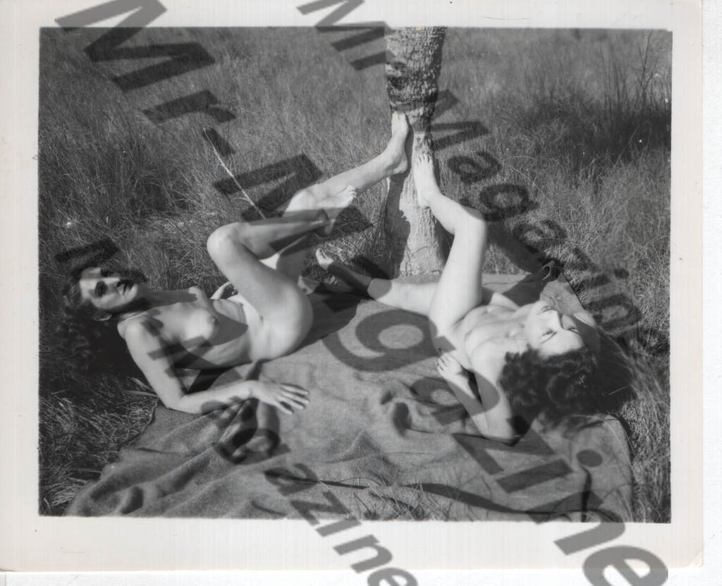Adult Vintage B&W Pinup Photo 4"x5" Lesbian Interest Brunette Models Nude Picnic CD-33