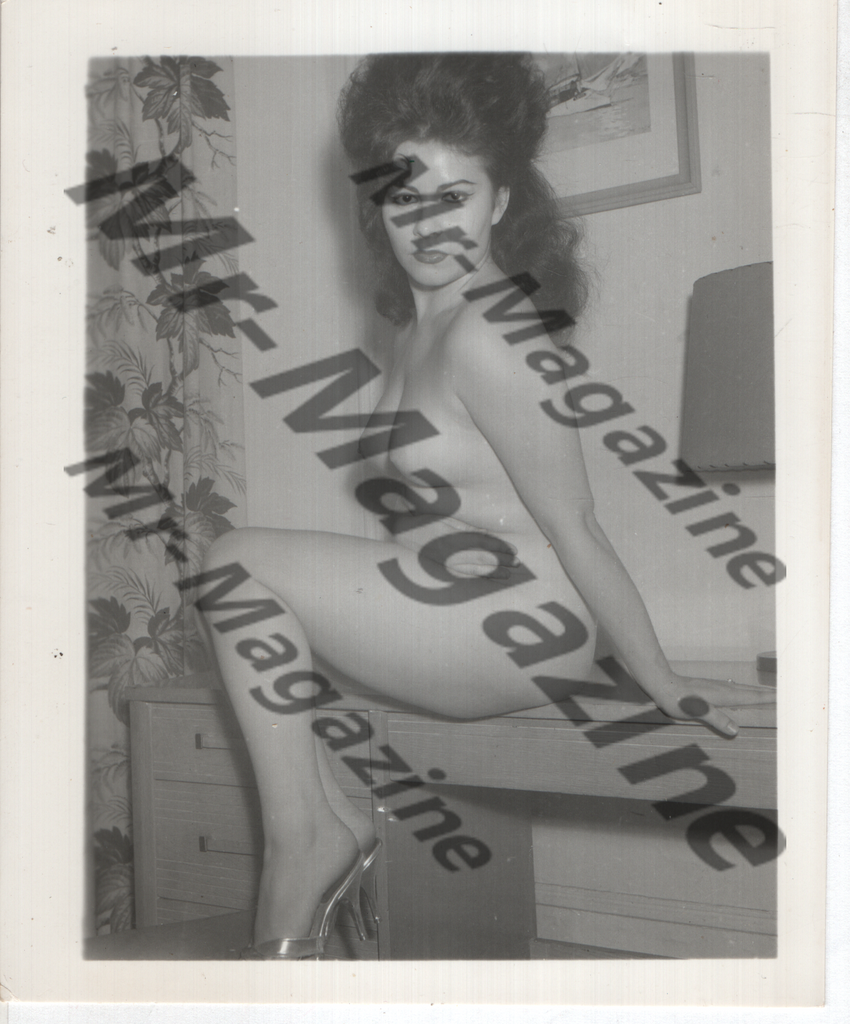 Adult Vintage B&W Pinup Photo 4"x5" Brunette Nude Model CD-73