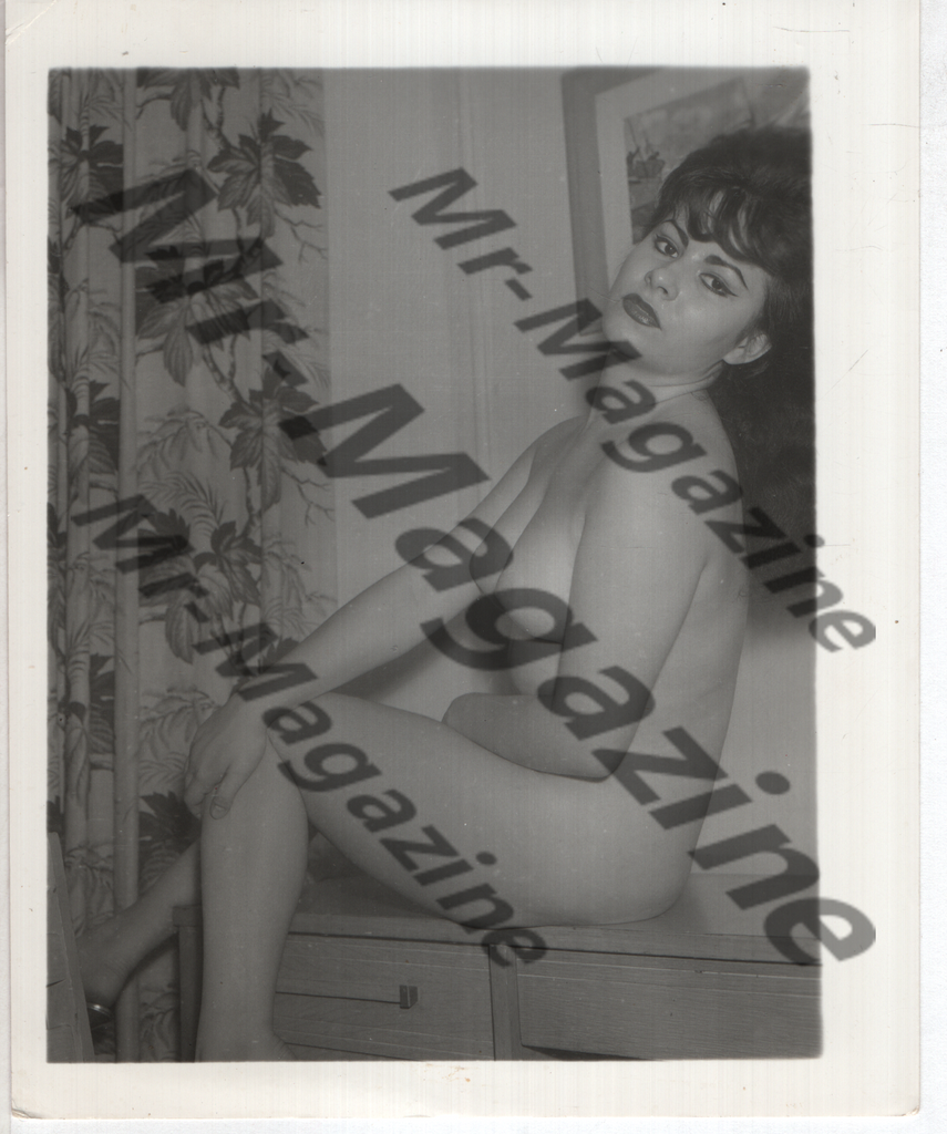 Adult Vintage B&W Pinup Photo 4"x5" Brunette Nude Model CD-72