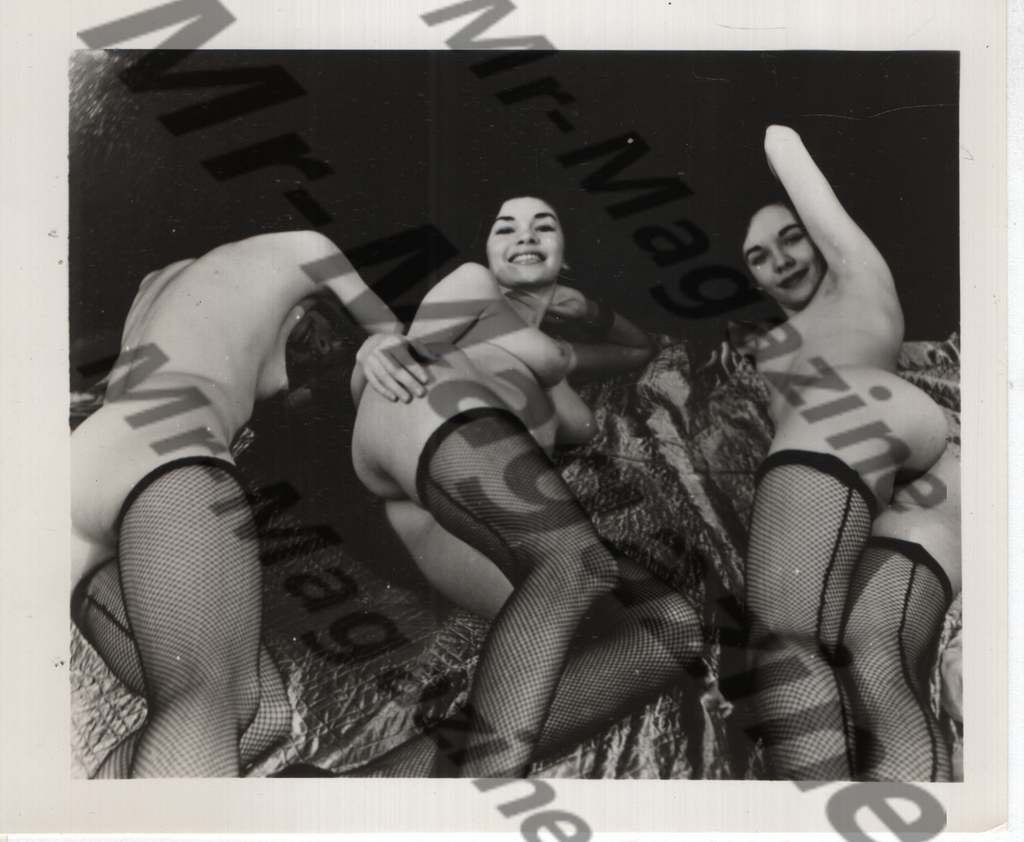 Adult Vintage B&W Pinup Photo 4"x5" Lesbian Interest Brunette Nude Models Fishnet Stockings CD-66
