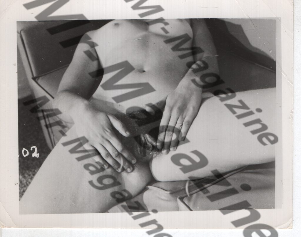 Adult Vintage B&W Pinup Photo 4"x5" Brunette Nude Model CD-63