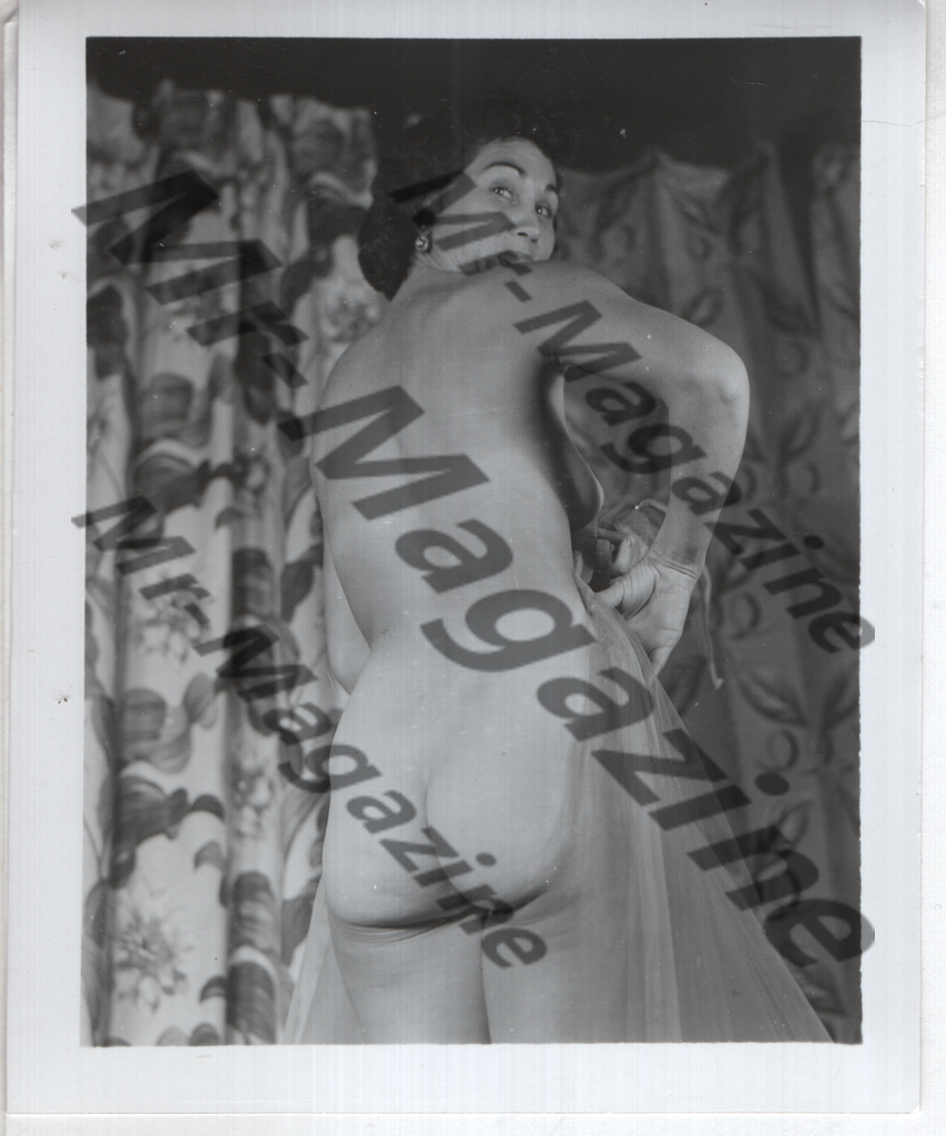 Adult Vintage B&W Pinup Photo 4"x5" Brunette Nude Model CD-05