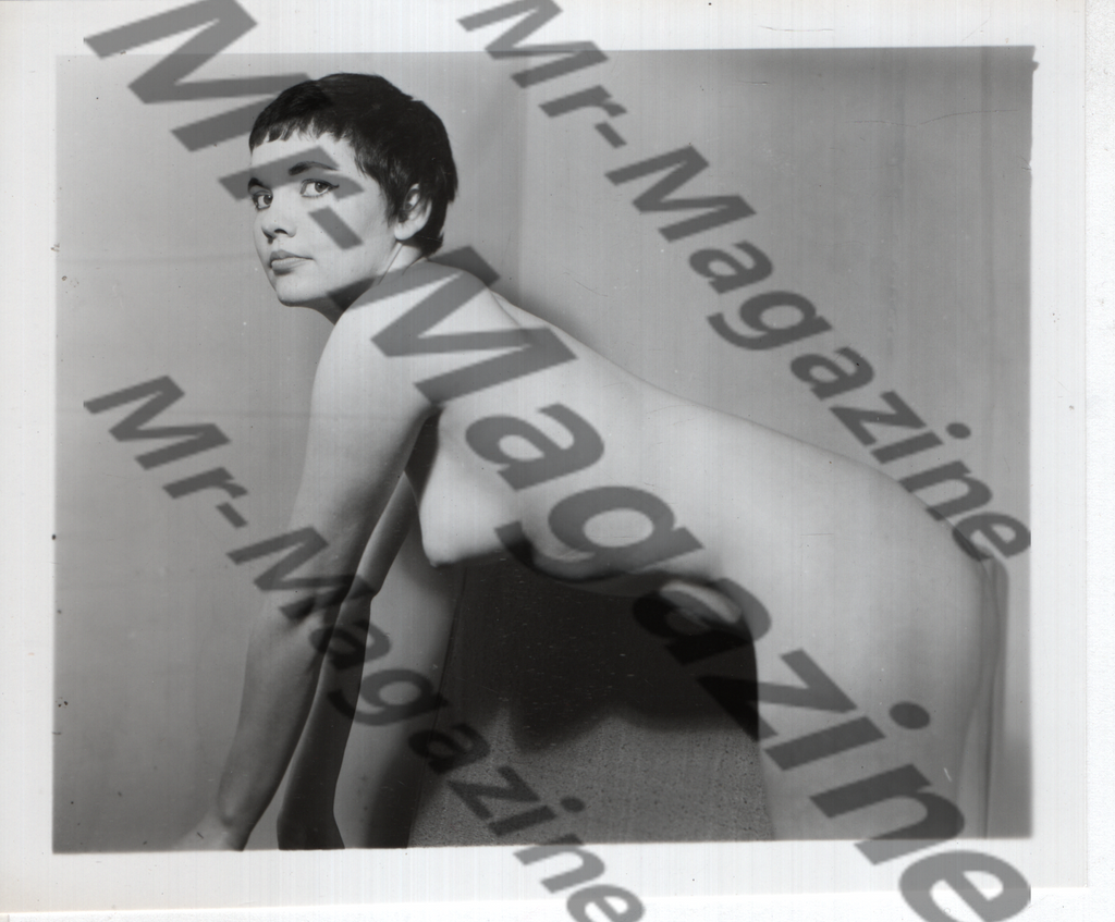 Adult Vintage B&W Pinup Photo 4"x5" Brunette Nude Model CD-45