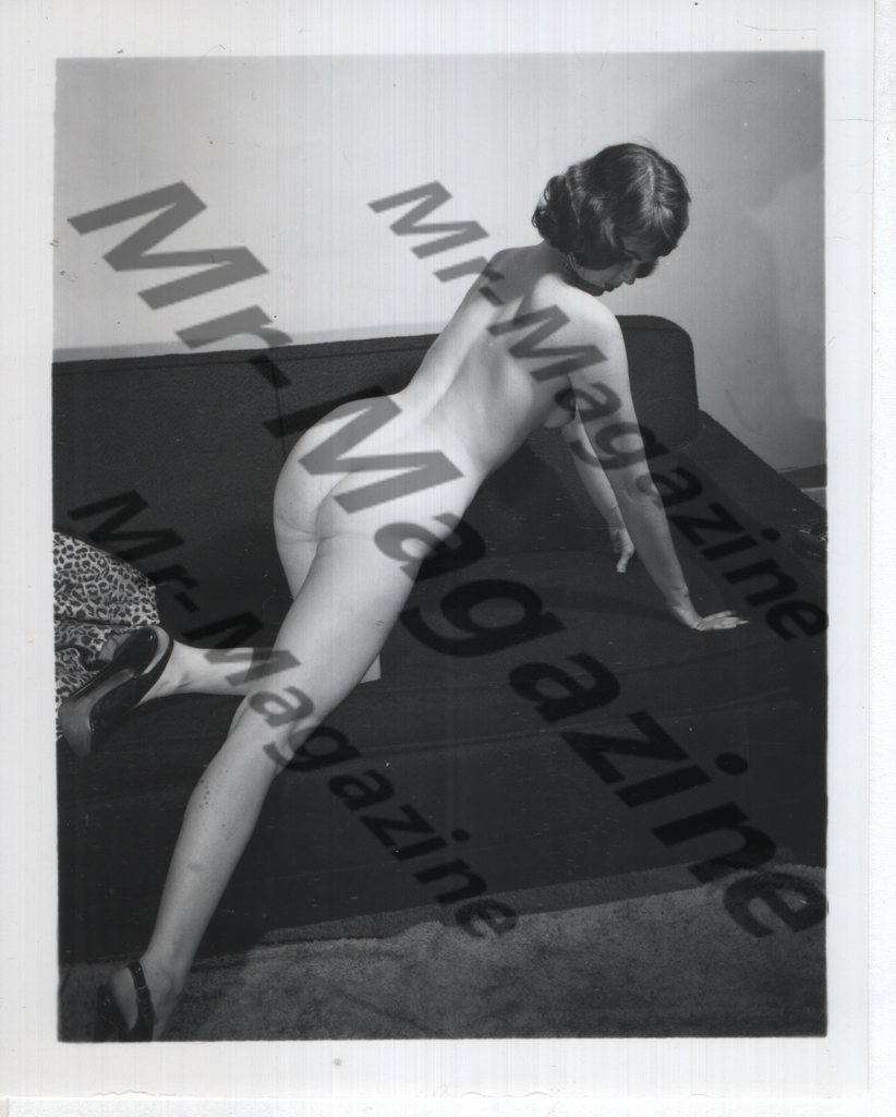 Adult Vintage B&W Pinup Photo 4"x5" Brunette Nude Model CD-06