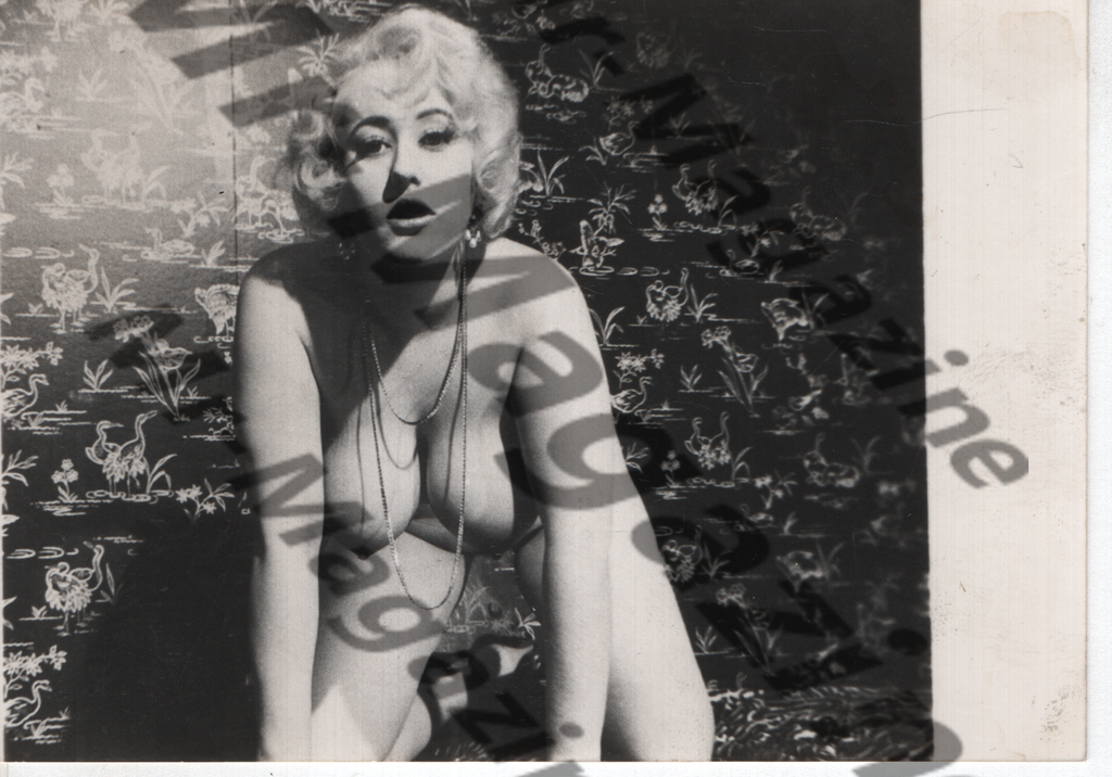 Adult Vintage B&W Pinup Photo 4"x5" Blonde Nude Model CD-27