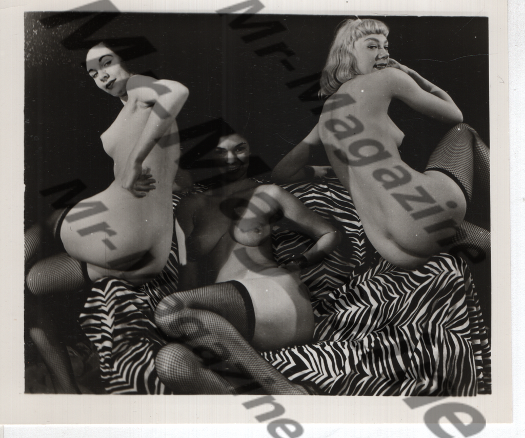 Adult Vintage B&W Pinup Photo 4"x5" Lesbian Interest Brunette & Blonde Models CD-47