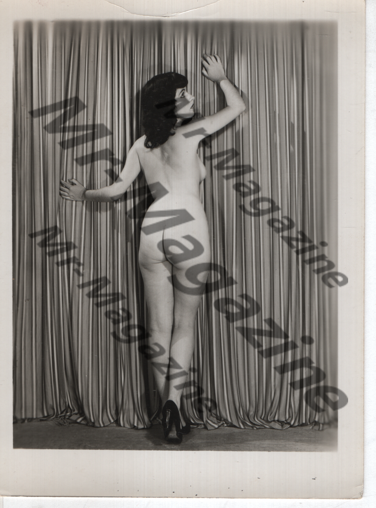 Adult Vintage B&W Pinup Photo 4"x5" Brunette Nude Model CD-48