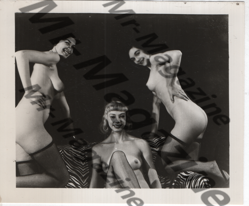 Adult Vintage B&W Pinup Photo 4"x5" Brunette & Blonde Fishnet Stockings Models CE-40