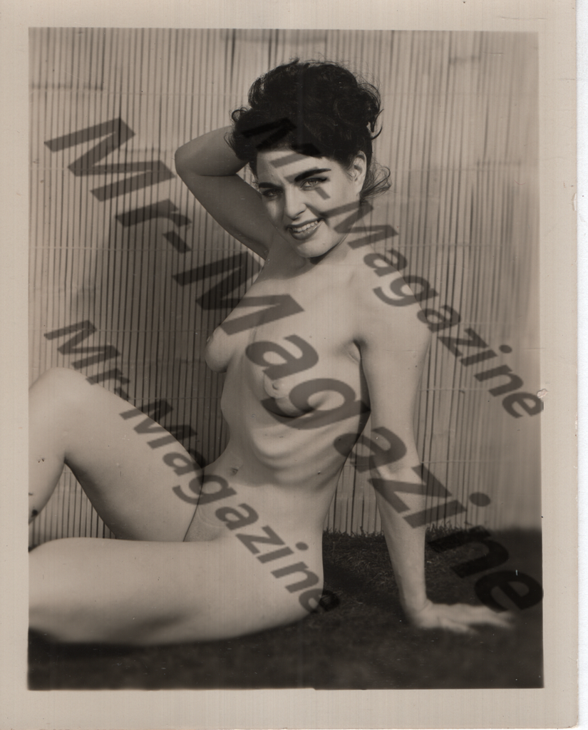 Adult Vintage B&W Pinup Photo 4"x5" Brunette Nude Model CE-03