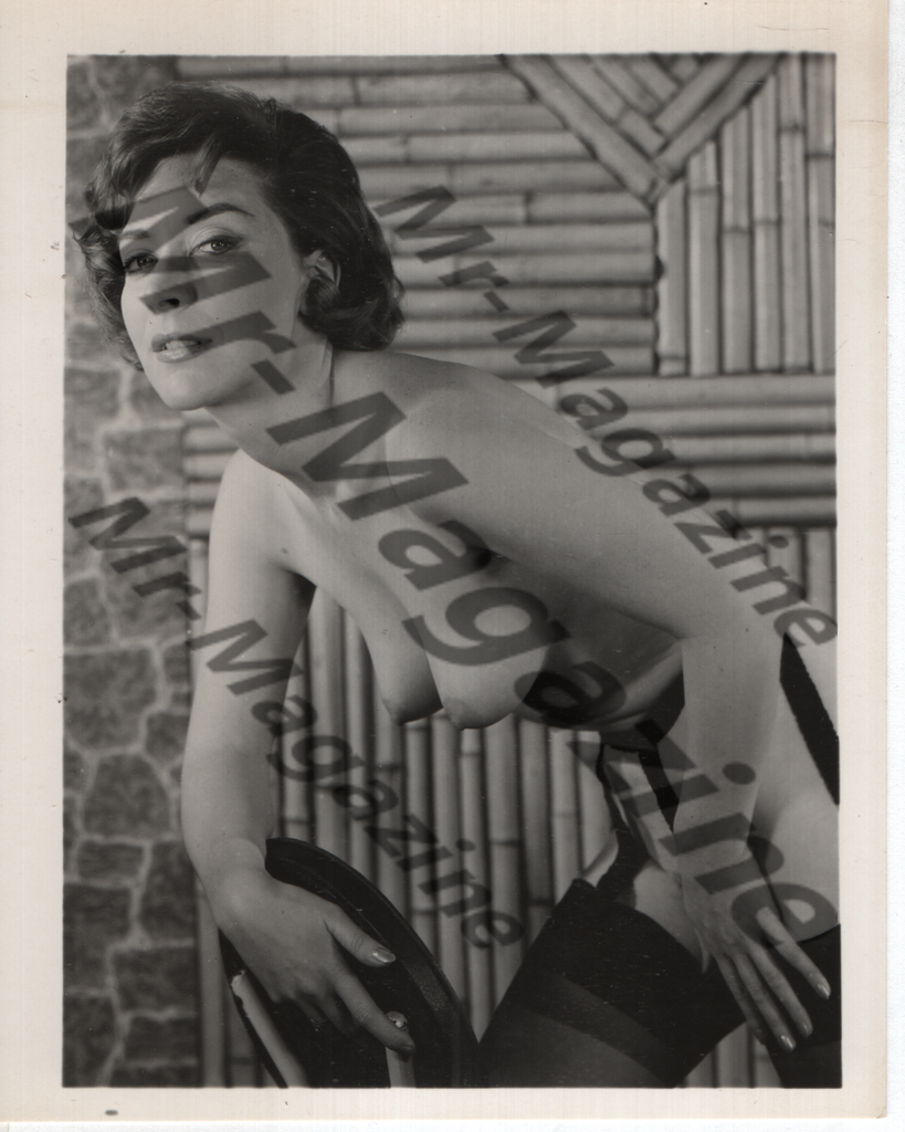 Adult Vintage B&W Pinup Photo 4"x5" Brunette Nude Model CE-04