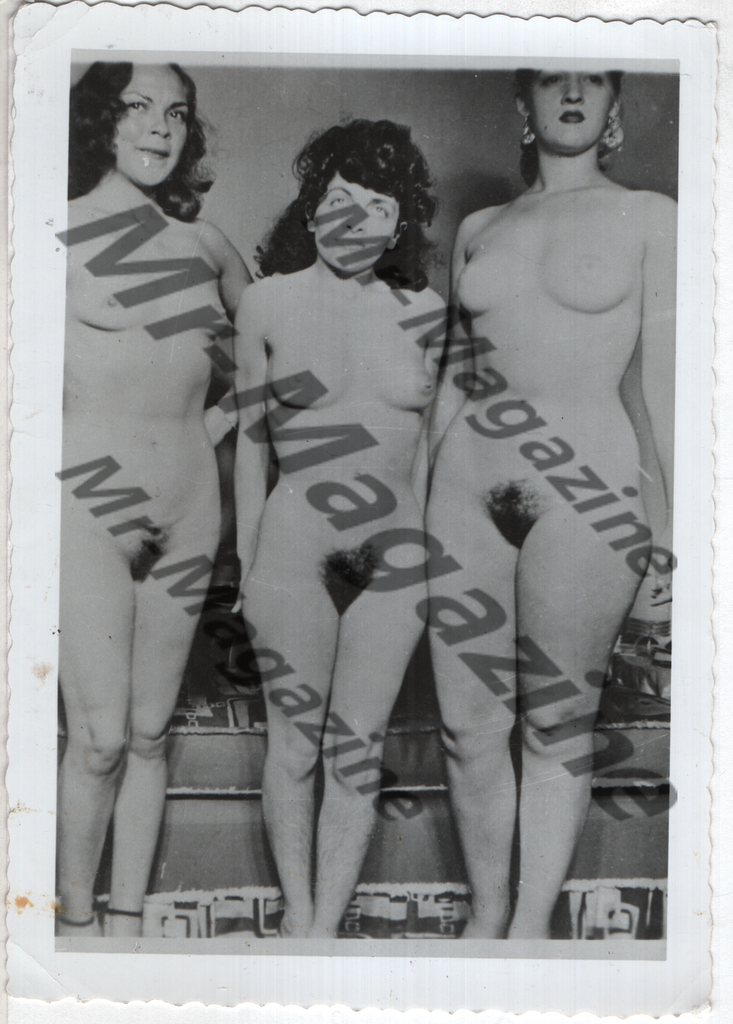 Adult Vintage B&W Pinup Photo 3.5"x5" Brunette Nude Models CE-73