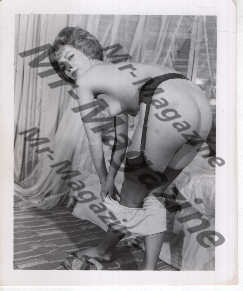 Adult Vintage B&W Pinup Photo 4"x5" Brunette Lingerie Model CE-85