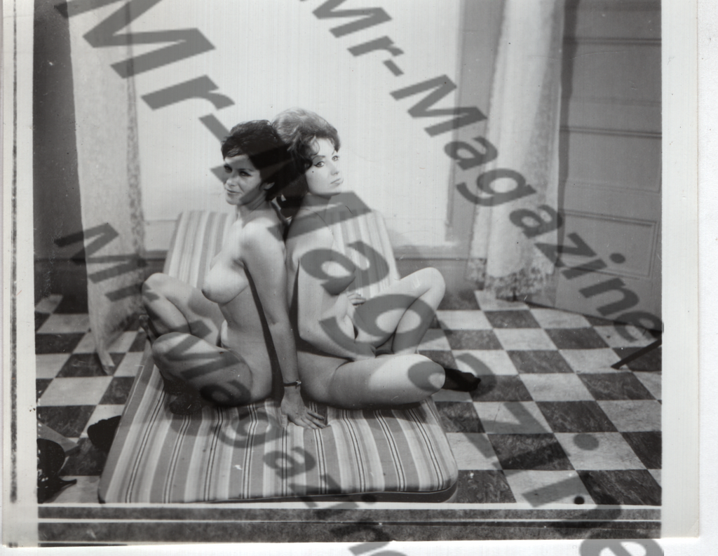 Adult Vintage B&W Pinup Photo 4"x5" Brunette Nude Models CE-83