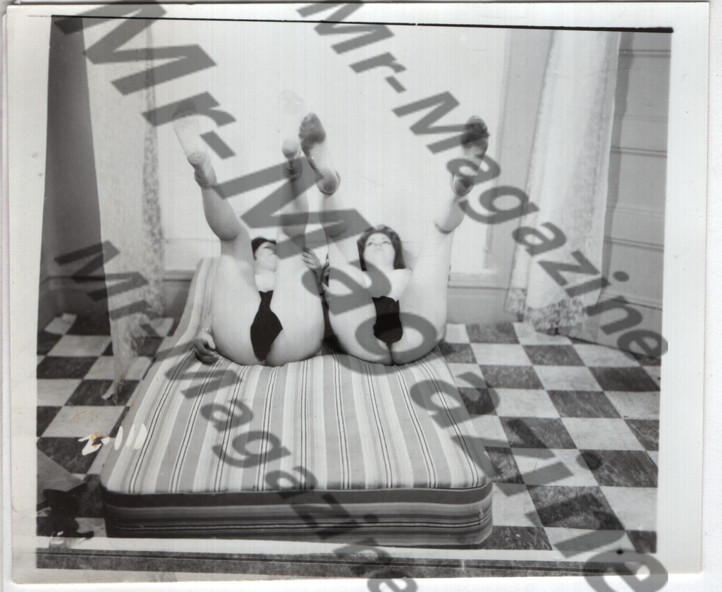Adult Vintage B&W Pinup Photo 4"x5" Brunette Nude Models CE-82