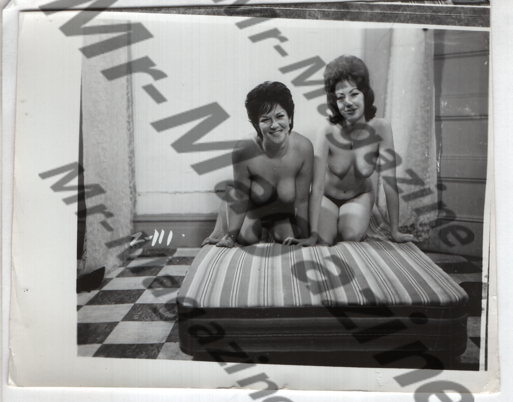 Adult Vintage B&W Pinup Photo 4"x5" Brunette Nude Models CE-80