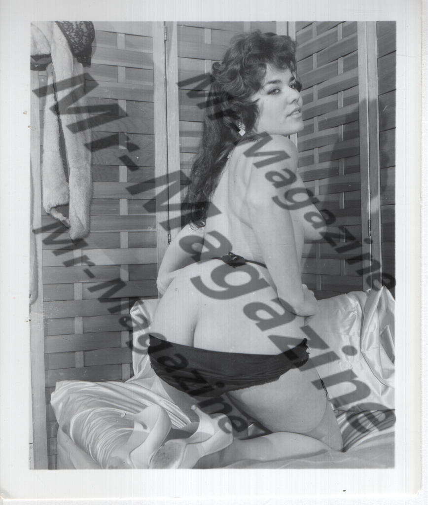 Adult Vintage B&W Pinup Photo 4"x5" Brunette Lingerie Model CG-14