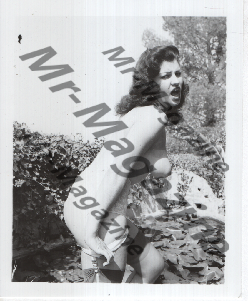 Adult Vintage B&W Pinup Photo 4"x5" Brunette Lingerie Model Striptease CG-23