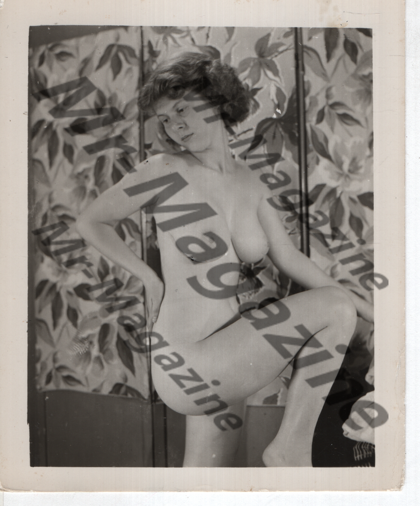 Adult Vintage B&W Pinup Photo 4"x5" Brunette Nude Model CF-84