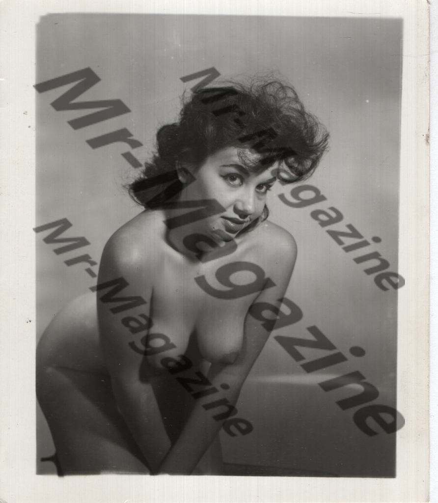 Adult Vintage B&W Pinup Photo 4"x5" Brunette Nude Model CG-07