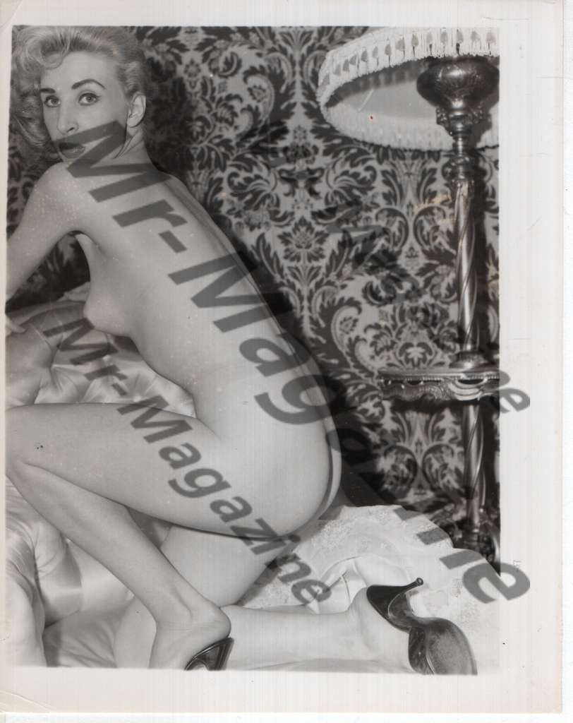 Adult Vintage B&W Pinup Photo 4"x5" Blonde Nude Model High Heels CG-12