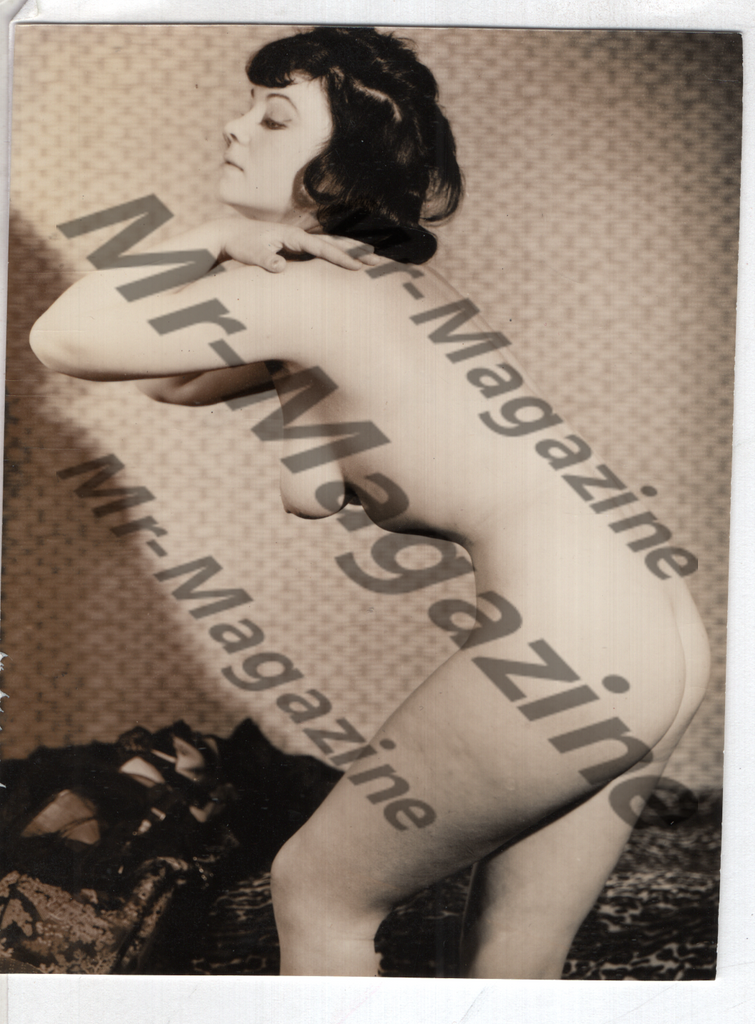Adult Vintage B&W Pinup Photo 4"x3.5" Brunette Nude Model CG-83