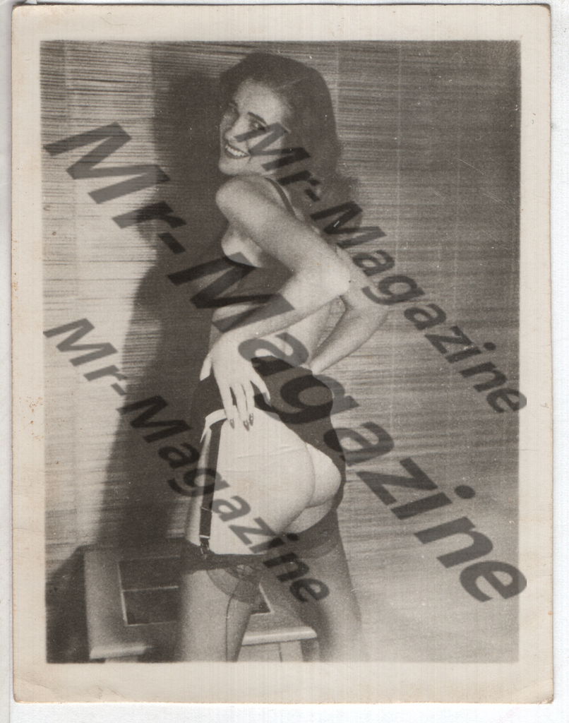Adult Vintage B&W Pinup Photo 3"x3.5" Brunette Lingerie Model CH-17