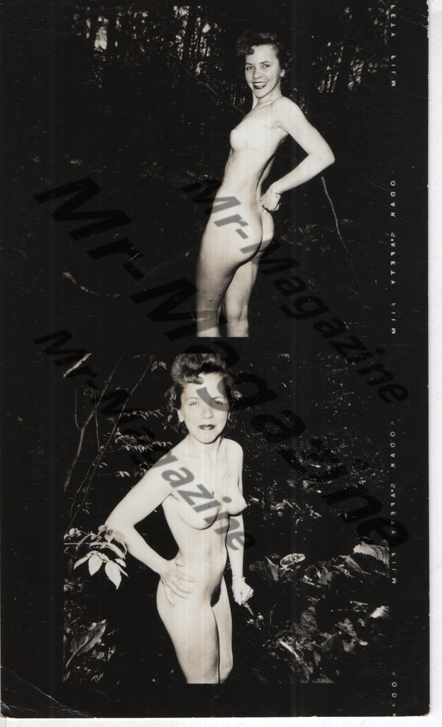 Adult Vintage B&W Pinup Photo 3"x5" Brunette Nude Model Outdoors CG-86