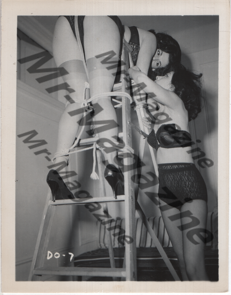 Adult Vintage B&W Pinup Photo 3.5"x4.5" BDSM Lesbian Interest Brunette Lingerie Model Tied To Ladder CH-64