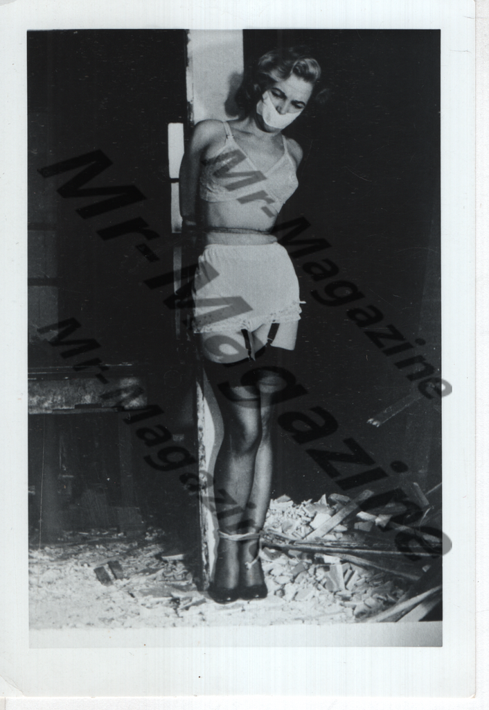 Adult Vintage B&W Pinup Photo 3.5"x5" BDSM Brunette Lingerie Model Bound CI-03