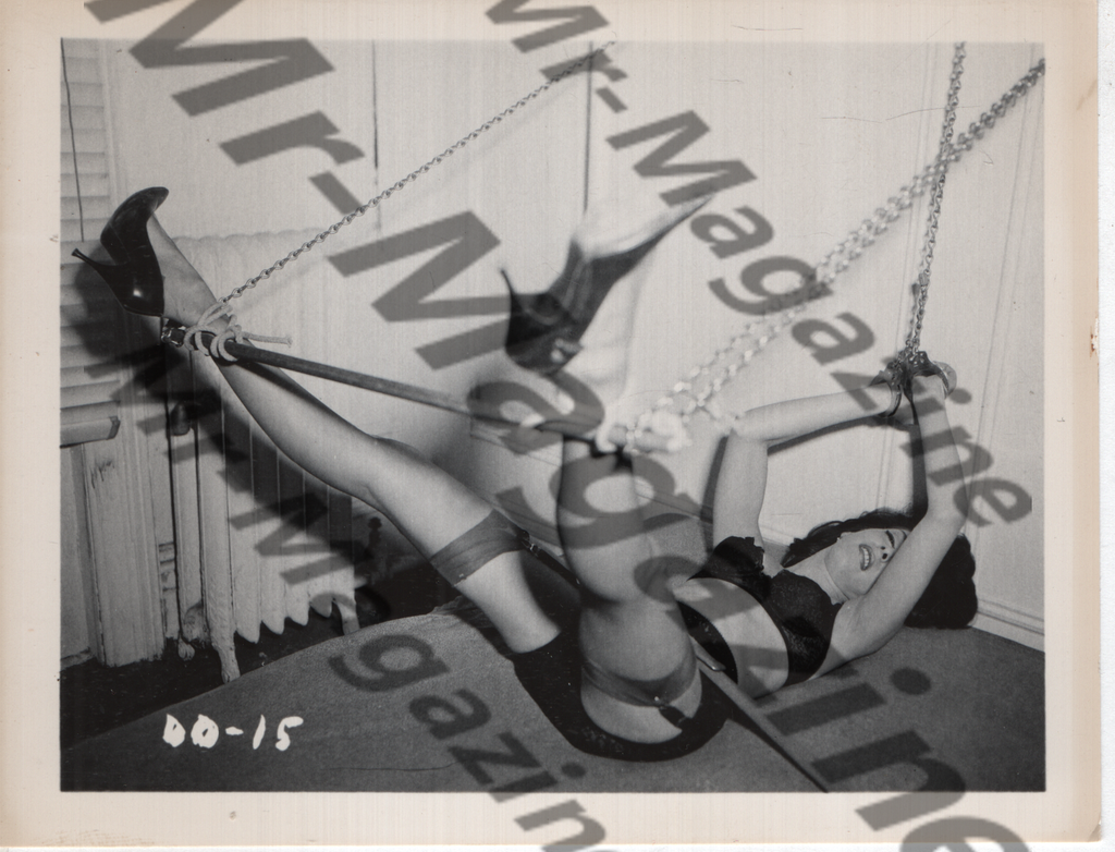 Adult Vintage B&W Pinup Photo 4"x5" BDSM Brunette Lingerie Model Spreader Bar CH-67