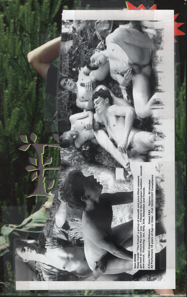 Deep In The Forest YMAC Video Gay VHS 1998 070524EBVHS2