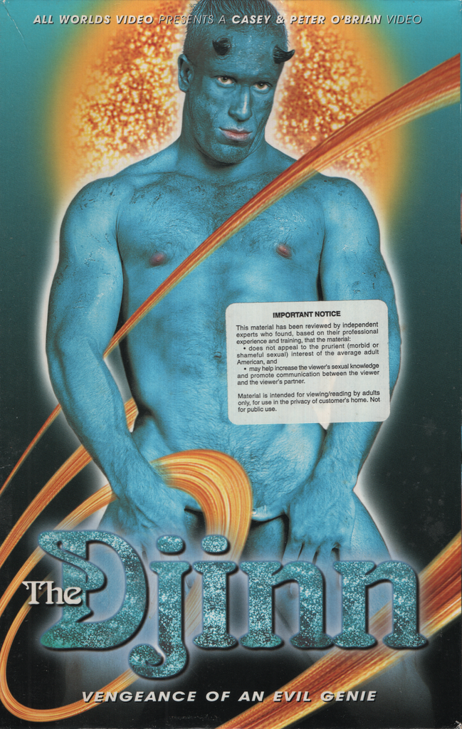 The Djinn Brent Banes Tom Adams All Worlds Video Gay VHS 1999 070924EBVHS2