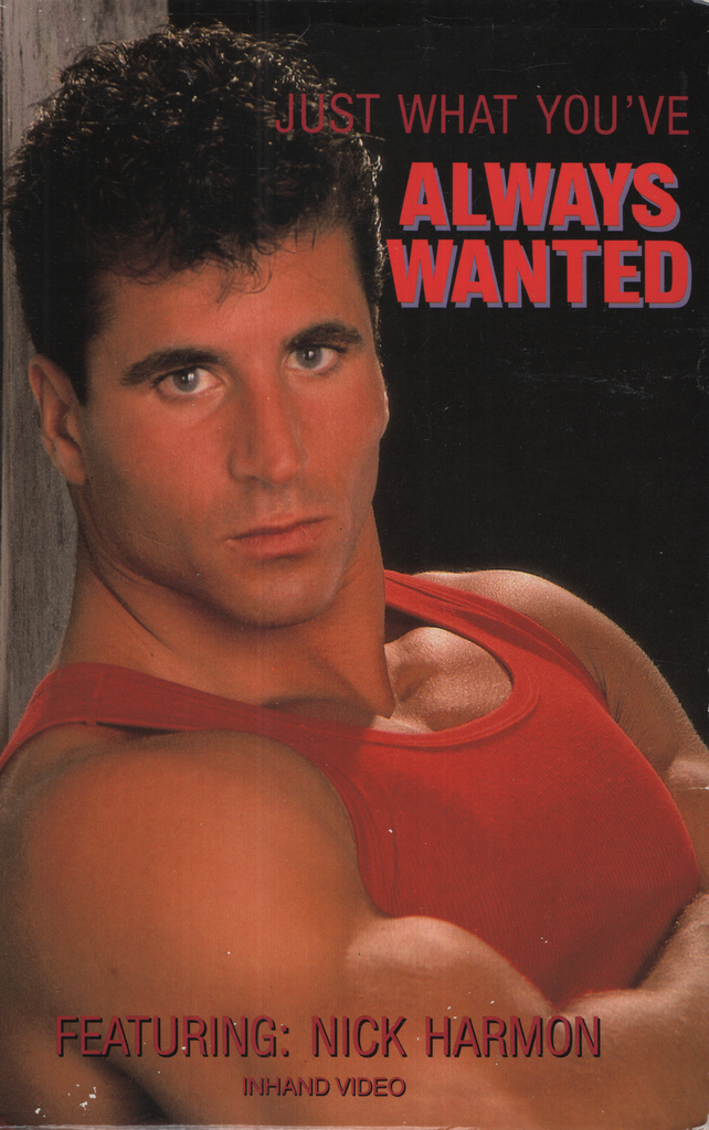 Just What You've Always Wanted Featuring Nick Harmon Grione Inc Gay VHS 1989 072224EBVHS2